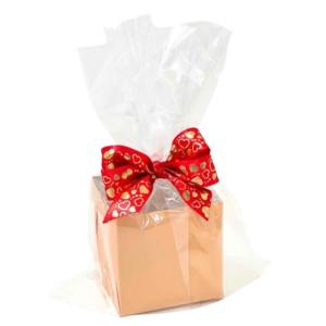 SACO TRANSPARENTE INCOLOR 30X45 C/50 UNIDADES CELOFANE